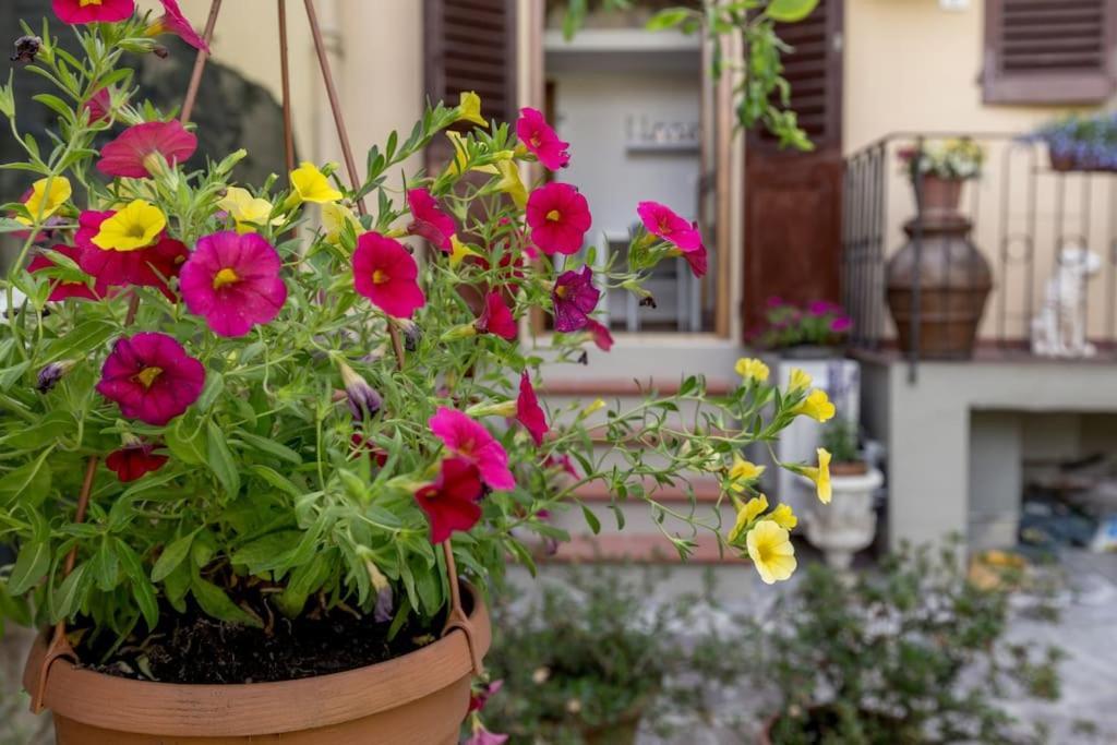 Loft Ortensia Garden Wifi Air Conditioning Floransa Dış mekan fotoğraf